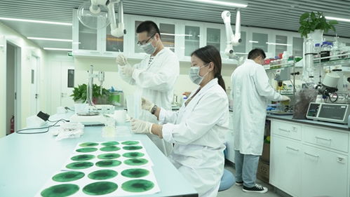 新洋豐 高舉創(chuàng)新大旗，引領農業(yè)科學研究和試驗發(fā)展