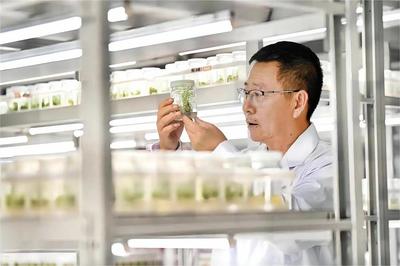 灃西新城加快“科學家+工程師”隊伍建設，為農業(yè)科學研究和試驗發(fā)展注入新活力