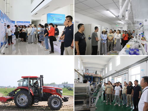 內蒙古農大AI創(chuàng)新教學與科研能力提升培訓班在涿州教學實驗場圓滿收官