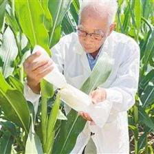 構(gòu)建科技創(chuàng)新生態(tài) 壯大產(chǎn)業(yè)發(fā)展集群——農(nóng)業(yè)科學(xué)研究和試驗發(fā)展的新路徑