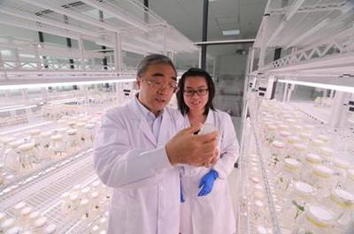 5·30來啦！河南科技工作者暢談農(nóng)業(yè)科學(xué)研究和試驗發(fā)展新篇章