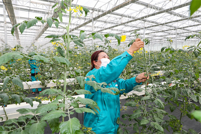 科技賦能鹽城農(nóng)業(yè)現(xiàn)代化，2021年糧食總產(chǎn)達(dá)142.96億斤