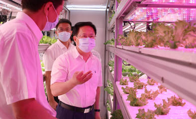 鄭柵潔調(diào)研省農(nóng)科院 強化市場與效率意識，驅(qū)動農(nóng)業(yè)科技創(chuàng)新新篇章