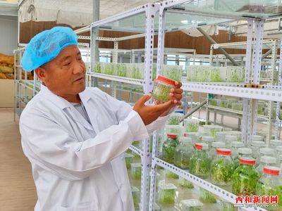 凝神謀發(fā)展 實干興隴原——“三抓三促”行動專題報道 | 西和 民樂種業(yè) 實業(yè)興農(nóng) 以科研創(chuàng)新驅(qū)動農(nóng)業(yè)現(xiàn)代化