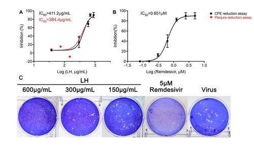 連花清瘟抗新冠肺炎病毒機制初探 鐘南山團隊最新研究進展