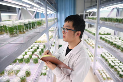 鏡頭丨勞動讓生活更美好 農業科學研究和試驗發展