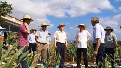 我校國家農業科技戰略研究院赴海南開展熱帶農業科技創新調研，助力農業科研發展新篇章